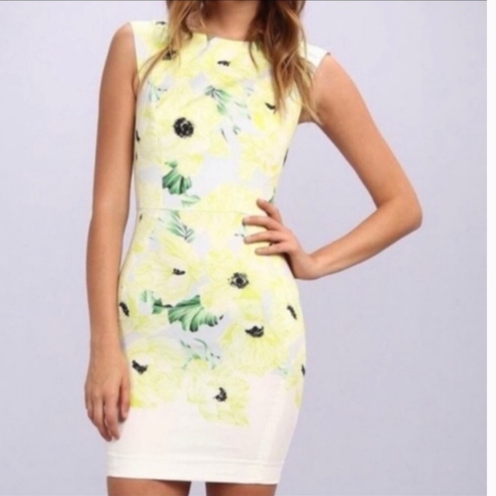 French Connection Holiday Poppy Cotton Floral Sheath Dress